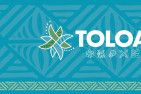 Toloa Tertiary Scholarships (STEAM)
