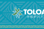 Toloa Secondary School Scholarships (STEAM)